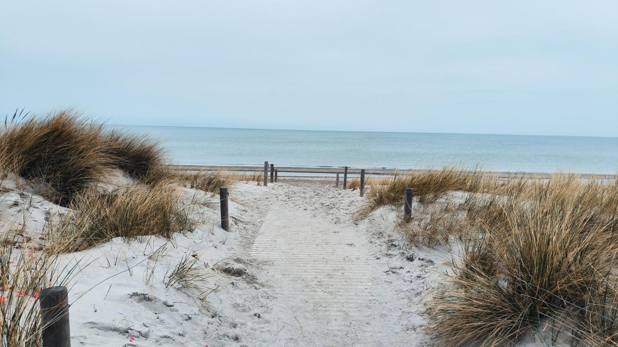 Ferienwohnung Ostseestern Rerik Mit Sauna Ngoại thất bức ảnh